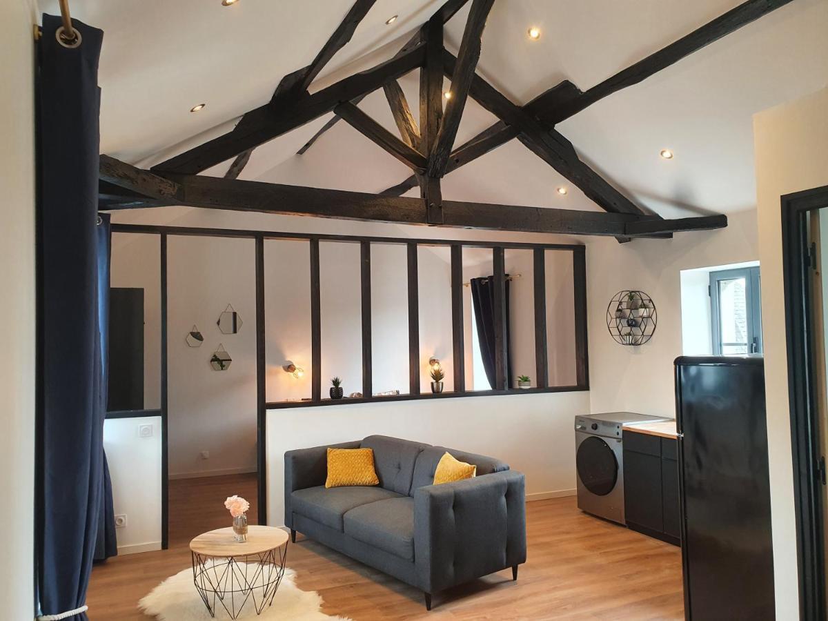 Le Loft De Blossac Apartment Poitiers Luaran gambar
